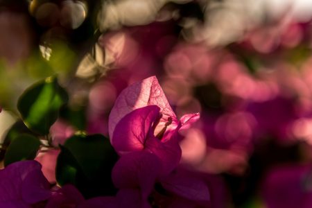 AdobeStock_220543843-min