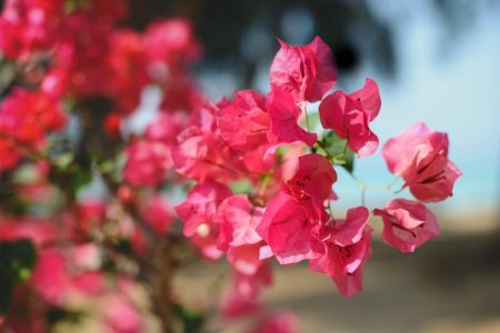 AdobeStock_320300357-min